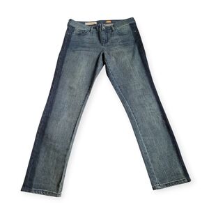 Anthropologie Pilcro Stet Ankle Jeans two-tone blue size 29
